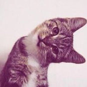 Syaf Sallehuddin's photo