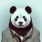 Jen Marcellus's photo