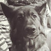 Bryony Holt's photo