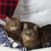 Kathy Macomber's photo