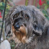 Elizabeth Radlicki's photo