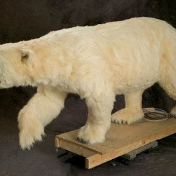 Polar Bear Replica(Static) - Sculptures