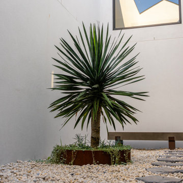 Indoor Courtyard
