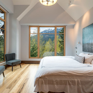 Whistler Falcon Point