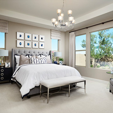 Raven Model Home in Arizona
