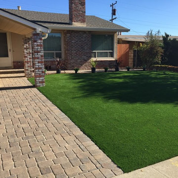 Artificial Grass