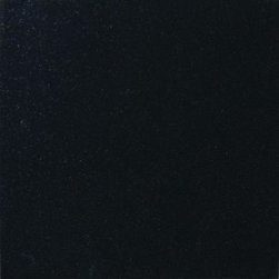 M. S. International Inc. - Granite Tile: 18 in. x 18 in. Absolute Black Granite Floor and Wall Tile TABSBLK - Kitchen Countertops