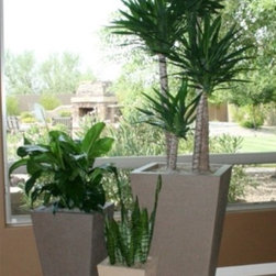 Zinnia Vase Planter Square - Outdoor Pots And Planters
