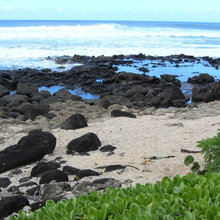 Hawaii