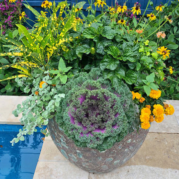 "Splash" of color
