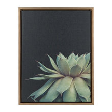 Hacienda Del Sol Art