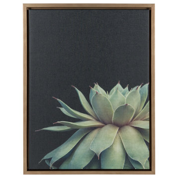 Sylvie Succulent Framed Canvas by F2 Images, Gold 18x24