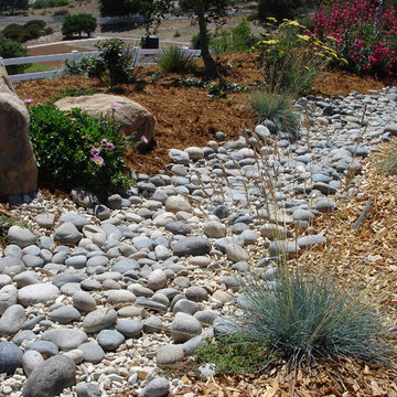 Natural Drainage