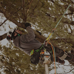 Experienced Tree Service LLC