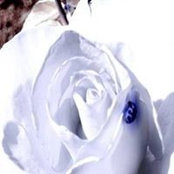 Carol Sturman's photo