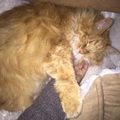 Jane Malamud's photo