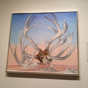 Heidi Hermansen Van Horn's photo