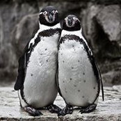 Betty Beemy's photo