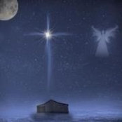 Nancy Stachowski's photo