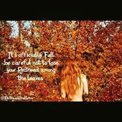 Lisa Brimmer's photo
