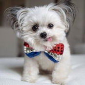 Angela Basson's photo