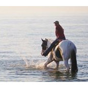 Staci Saulter's photo