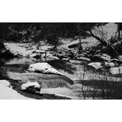 Darran McGlinchey's photo