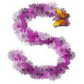 Sandy Bellew's photo