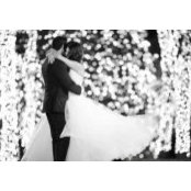 Stephanie Wiseman's photo