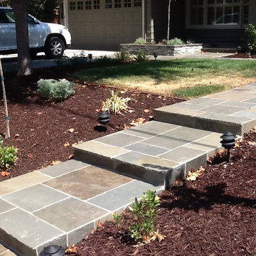 Front Yard Update