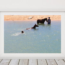 Two boys bathing horses, Galinhos - RN, Brazil. Downloadable Instant Di