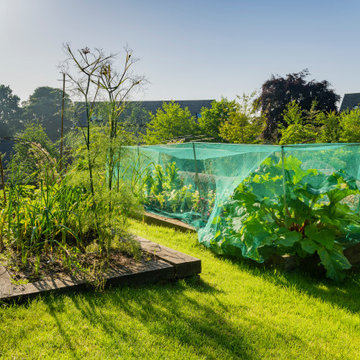 Stylish Terrace Garden