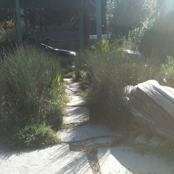 Rushes and Driftwood Artifact With Stone