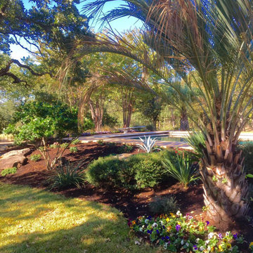 Backyard Dreams