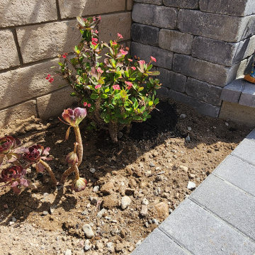 Santa Clarita Outdoor Oasis Project - After