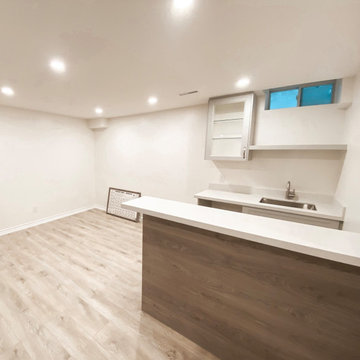 Basement Renovation - Project Primont