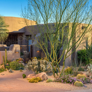 Desert Scape