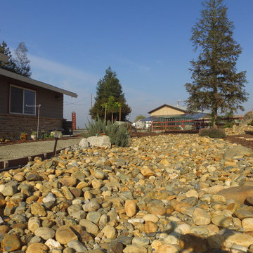 Drought Tolerant Landscape
