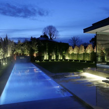Fence Line and Pool Areas