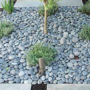 Japanese Garden