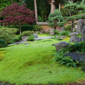 Moss gardens