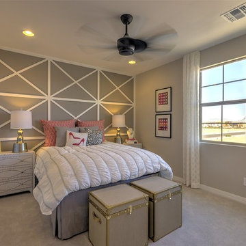 Ambition at Eastmark | Mesa, AZ | 3584 - Passion Plan