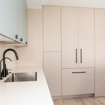 Contemporary Kitchen Remodel