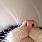 Tiana Cameron's photo