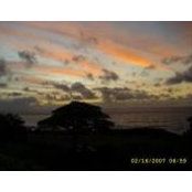Dedra Irelan's photo