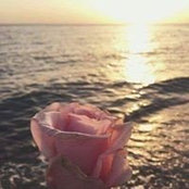 Foto von Houda Bn