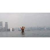 Dina Verras's photo