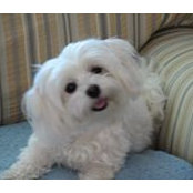 Stan Sadowski's photo