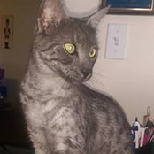 Janet Miller Wybrant's photo