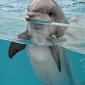 Jill Hayes's photo